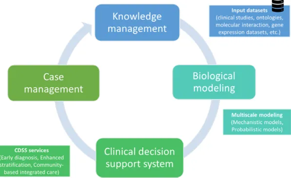 Figure  6. Schematic diagram of the Synergy-COPD project design.  The design of  Synergy-COPD was based on the interaction among four main components: i) a  knowledge management system filled with data from clinical studies on COPD and  related conditions,