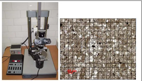 Figure 9. Determination of the clastic  framework, matrix and cement  bigger than 32µm  in the 321 