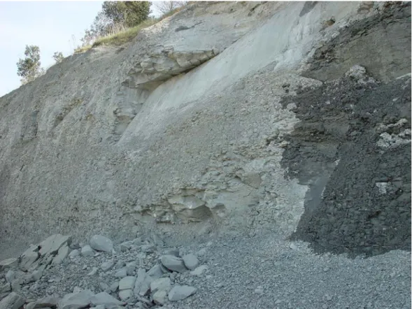 Figure 1. Slope surface deterioration with the development of listric (curvilinear) failures on mudstones in 75 