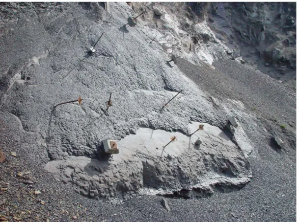 Figure 2. Cutslope surface deterioration in the N-1 road at Ormaiztegi in the Gipuzkoa province, N Spain