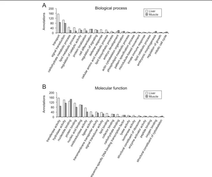 Fig. 3 Functional gene ontology classification of annotations exclusively present in the liver and the skeletal muscle