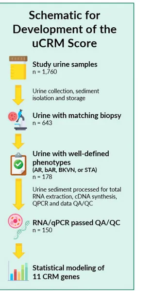 Fig 1. Sample selection and study schematic of the study. 1,760 urine samples were collected between 2000 and 2016,