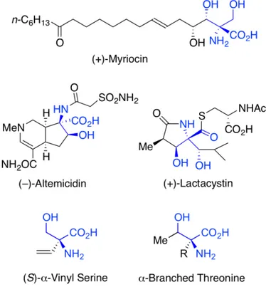 Figure 1. Compounds incorporating quaternary b-hydroxylated a-amino acids  