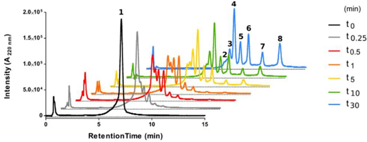 Figure  3.  High-performance  liquid  chromatography  (HPLC)  analysis  of  fully  linear  peptide  1  on  incubation  with  trypsin  over  30  min