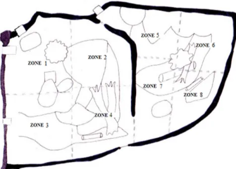 Fig. 3. Diagram of the enclosure for brown bears showing the division of the areas for the study of space use.