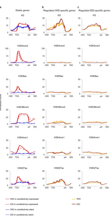 Figure 4. Profiles of H3 and histone modifications in Wing (WID) and Eye-antenna (EID)  imaginal discs