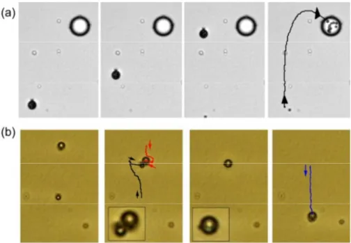 Figure 4.  (a)  Sequence  of  images  showing  the  absorption  of  a  microdroplet  ( φ = 7.3 µm), filled with 11 polystyrene particles (1.7 µm diameter), by a  larger droplet (φ = 18 µm) with a Saturn ring defect (E = 0.7 V/µm, f = 10 Hz)