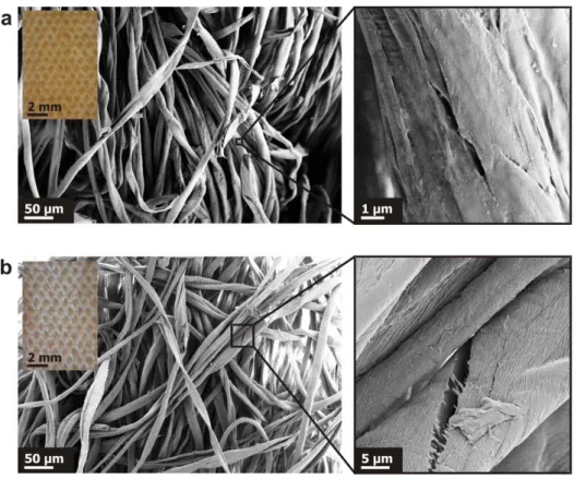 Fig. 5. SEM images of the original (a) and highly degraded (b) cotton canvases with optical microscopy images as 