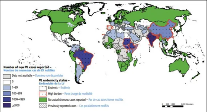 Figure 2. Status of endemicity of visceral leishmaniasis worldwide, 2016 