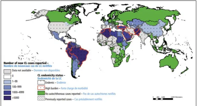 Figure 5  Status of endemicity of cutaneous leishmaniasis worldwide, 2016 