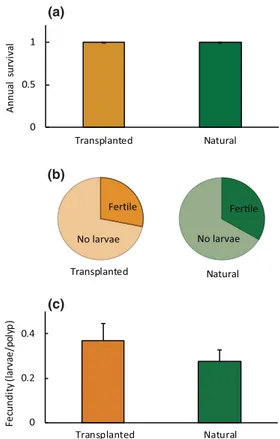 Figure 2 Demographic traits in transplanted and natural C. rubrum pop- pop-ulations. (a) Mean annual survival rates; (b) proportion of fertile colonies; and (c) mean polyp fecundity, calculated as the frequency of larvae found per polyp within fertile colo
