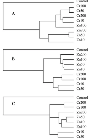 Fig. 3 Cluster analysis for the mineral content of leaves (a), bulbs