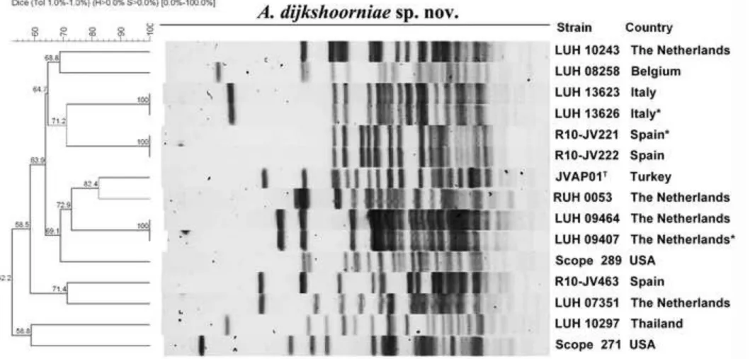 Figure 1 Click here to download Figure CCosgaya_IJSEM16_Fig1.tif 