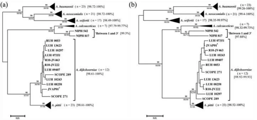 Figure 2 Click here to download Figure CCosgaya_IJSEM16_Fig2.tif 