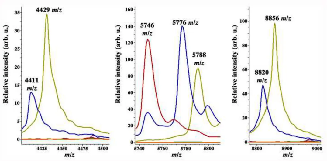 Figure 3 Click here to download Figure CCosgaya_IJSEM16_Fig3.tif 