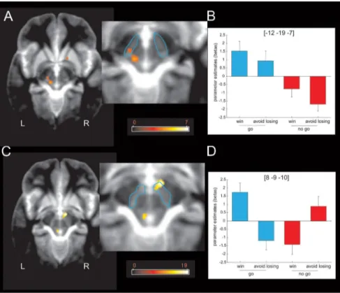 Figure 5. Midbrain response to anticipation of action and reward. A, Fractal images indicating that go trials elicited higher left lateral midbrain (or substantia nigra compacta) activity than fractal images indicating no-go trials ( p ⬍ 0.001 uncorrected;