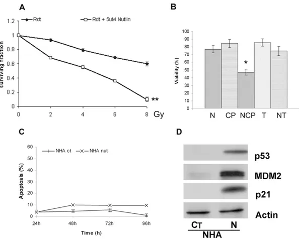 Figure 5. Nutlin-3a enhances radiation response in wild-type p53 glioma cells. A, clonogenic assays of p53-wild-type U87MG cells after 2 h pre-treatment with DMSO (vehicle control) (¤) or nutlin-3a (0.5 mM) (%)followed by exposure to X-ray irradiation at 0