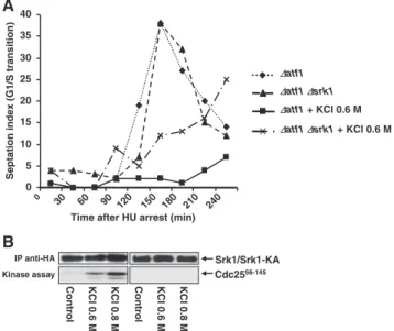 Figure 4 (cont). preincubated with Sty1-KA were assayed with the fragment of Cdc25 (Cdc25 56-145 ) as a substrate (top)