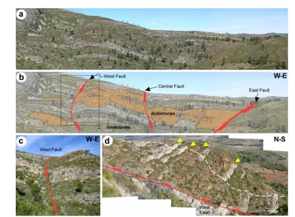 Fig. 5. Field panorama of the study area (a) and interpreted pair (b) showing the relationship between dolostones  (brown), limestones (grey) and faults (red lines)