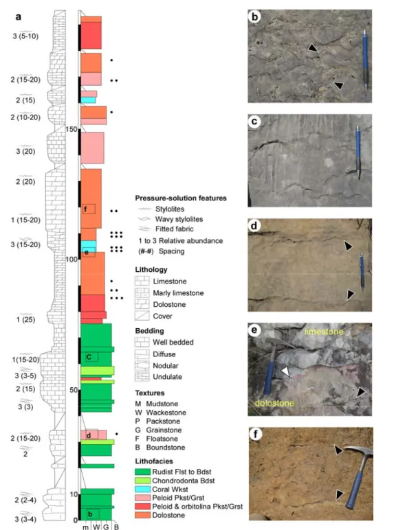 Fig. 6. (a) Field section showing the distribution of limestone facies and dolostones along the hanging wall block of  the western bounding fault (see Figs
