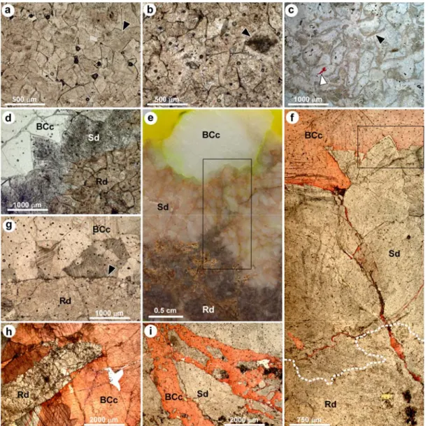 Fig. 8. Photomicrographs of saddle dolomite and blocky calcite cements. (a) Replacive dolomite crystal mosaic  showing planar-s to nonplanar textures