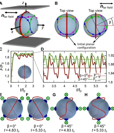 Fig. 4. Coupling of the active defect trajectories to the passive nematic. (A) Arrows indicate the periodic active defect trajectories prescribed in the simulations and their orientation with respect to the passive nematic far field in a system confined be