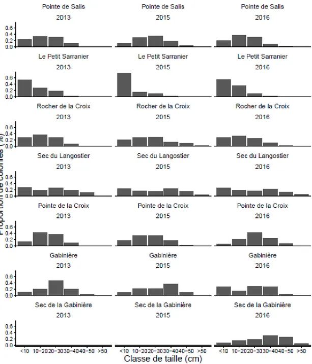 Figure  7  -  Fréquence  de  classes  de  taille  de  populations  étudiées  les  années  2013,  2015  et 