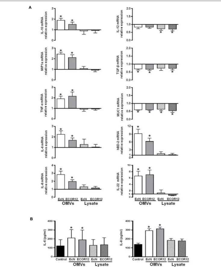 FIGURE 5 | Expression levels of the indicated immunomodulatory and defense mediators in human colonic explants