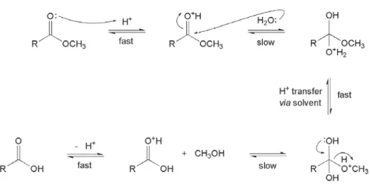 Figura 5.  Mecanisme en medi àcid (9) 