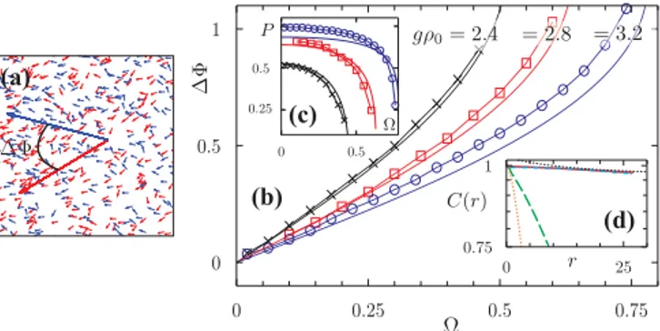 FIG. 2. Mutual flocking phase. Detailed view of a late-time configuration for  = ±1.5 at gρ 0 = 5.6 (a)