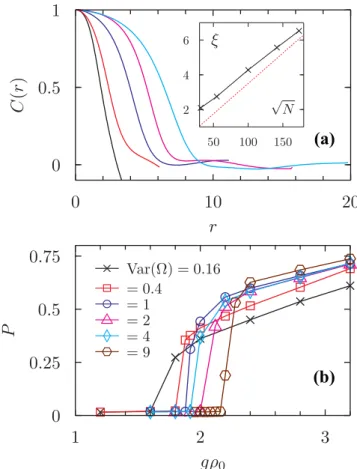 FIG. 3. Chiral phase: (a) spatial correlations for g ρ 0 = 2.8,