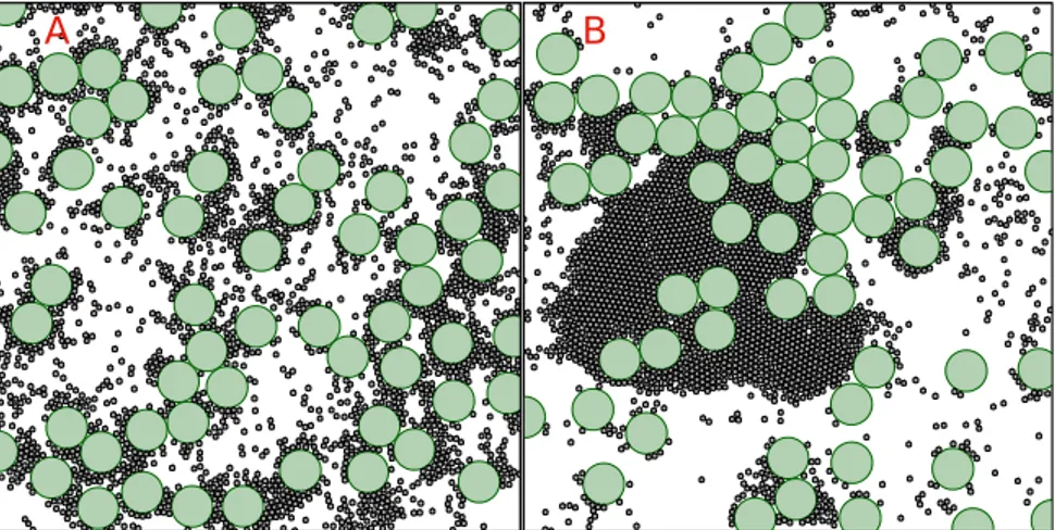 Figure 3.11 Mixture of active and Passive particles at φ a = 0.15, and φ p = 0.30. The