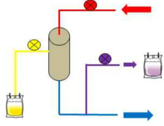 Figura 3. Principio físico-químico: la adsorción 