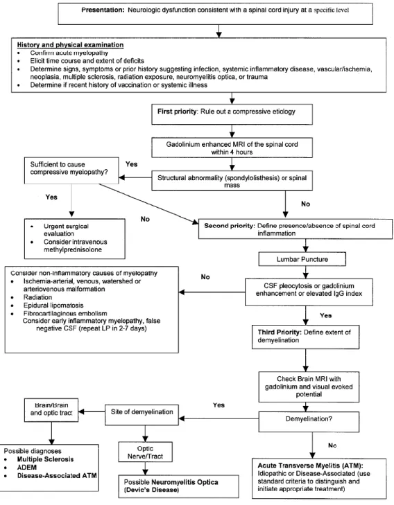 Figure 3. Diagnostic algorithm proposed by the TMCWG. (From the TMCWG 