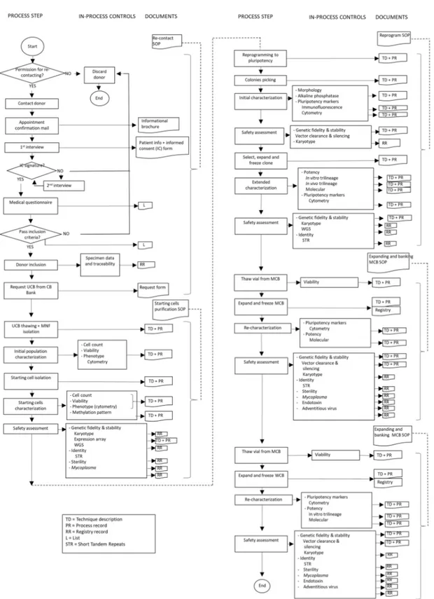 Figure 2. Flow chart of building an iPSCB from CBB and associated SOP and records. 