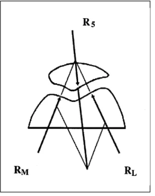 Fig. 23.- En el plano axial, la fuerza R5 se descompone en dos: RM Y RL que actúan en cada faceta rotuliana, repartiendo la presi6n  fémoro-patelar según su distinta superficie