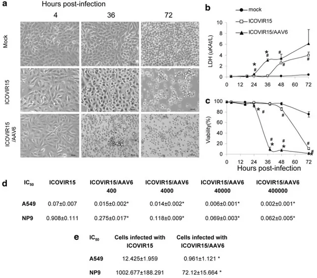 FIG. 3. AAV6 coinfection induces cell shrinkage, accelerates cell death, and enhances ICOVIR15 propagation in ICOVIR15- ICOVIR15-infected cells