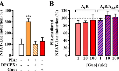 Figure 4. A 1 R-dependent intracellular Ca 2+ mobilization. (A)  Determination of A 1 R-mediated 