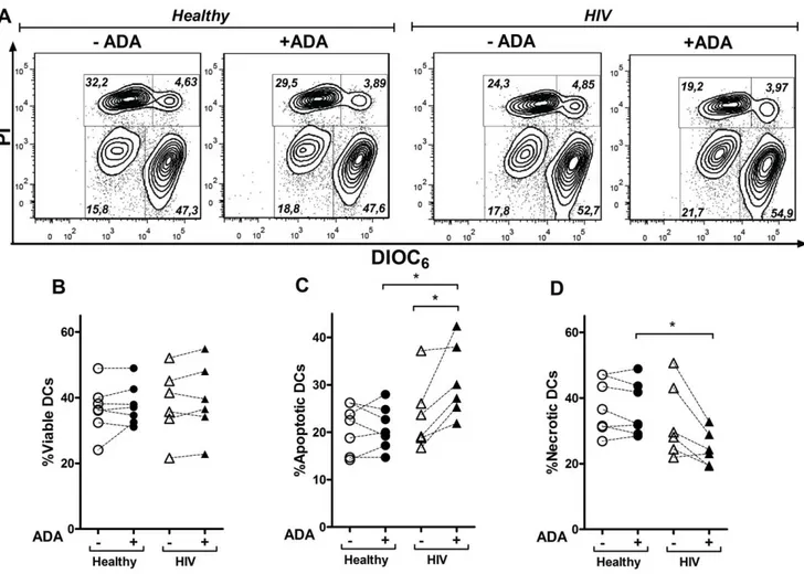 Figure S1 ADA dose-response in CD80/83 expression and cytokine secretion. iDCs, obtained as indicated in the Materials and Methods, were cultured for 48 h in medium in the absence (iDC) or in the presence of 1, 2, 4 or 6 mM ADA (+ADA) and the expression of
