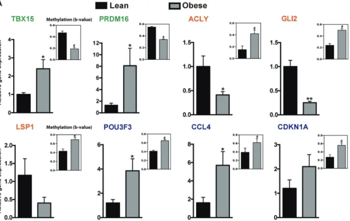 Fig. 3 Differentially methylated sites have a differential effect on mRNA expression. a Methylation and mRNA levels of TBX15, PRDM16, ACLY, GLI2, LSP1, POU3F3, CCL4, and CDKN1A genes in hASCs