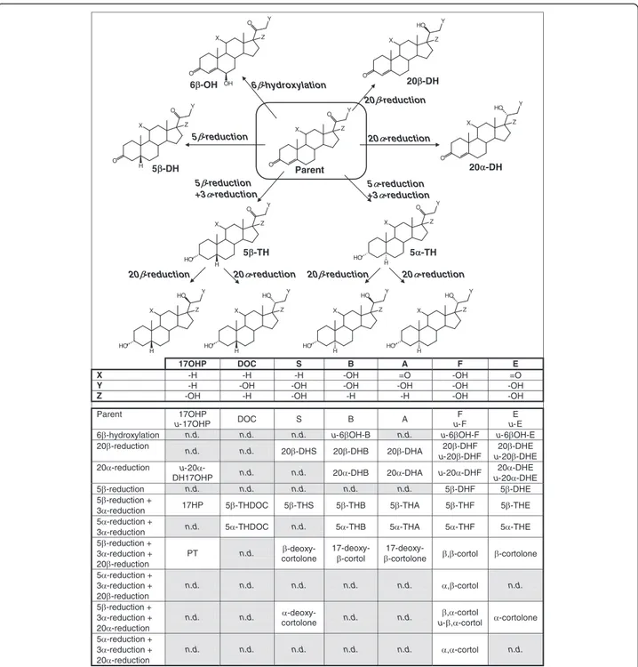 Figure 2 Schematic representation of C21 steroidal hormone metabolism showing the analytes included in the study