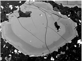 Figure 2: Chemical contrast with backscattered electrons of a garnet crystal. 