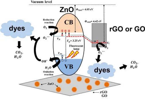 Figure 6. Graphic illustration of the photomineralization of organic dyes by using ZnO–GO or 