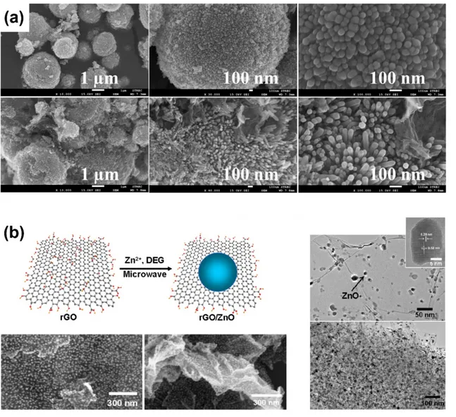 Figure 8. (a) Scanning electron microscopy  images  of  ZnO  microspheres (top), and ZnO 