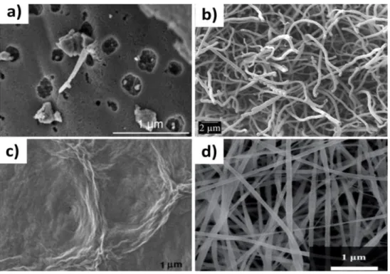 Figure 1.4.  SEM images of a) activated carbon, b) multi-walled carbon nanotubes, 