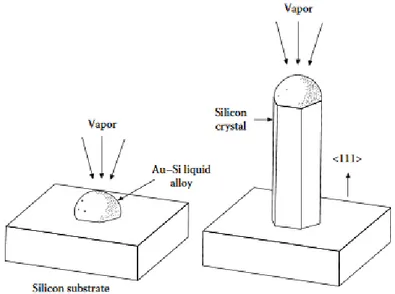 Figure 7: Schematic illustration of the VLS mechanism as proposed by R.S. Wagner (reprinted  from Ref