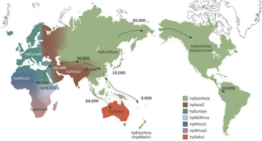 Figure 1. Distribution of Helicobacter pylori genotypes before Columbus found the 