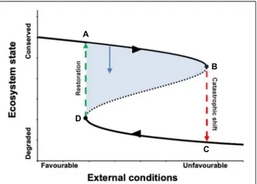FIGURE 1 | The catastrophic shifts concept. The upper solid line following the arrow represents the gradual decline of the ecosystem as the external pressures become increasingly unfavorable (section A–B)