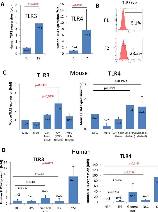 Figure 8: Mouse and human TLR3 and TLR4 in F1 and in iPSC-derived cells (F2).  