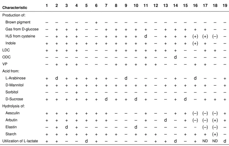 Table  1.  Key  tests  for  the  phenotypic  differentiation  of  the  strains  665N  and  868E T   from  other  mesophilic 